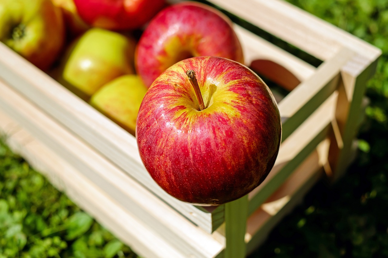 An Apple a Day: There are over 7,000 varieties of apples, but only a fraction of those can be found at your grocery or farmer's market.