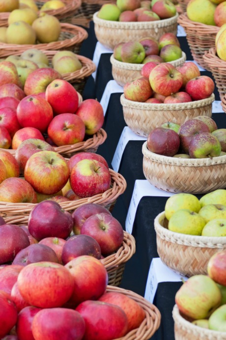 Homemade Apple Cider: Use a combination of apple varieties, as opposed to a single type. Explore the varieties of apples available at your local grocery, farmers’ market, or u-pick apple orchard.