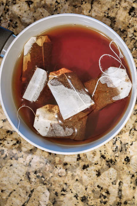 Brewing Kombucha: Add sweetened tea to your SCOBY and starter liquid. Plain black tea without flavoring works best.