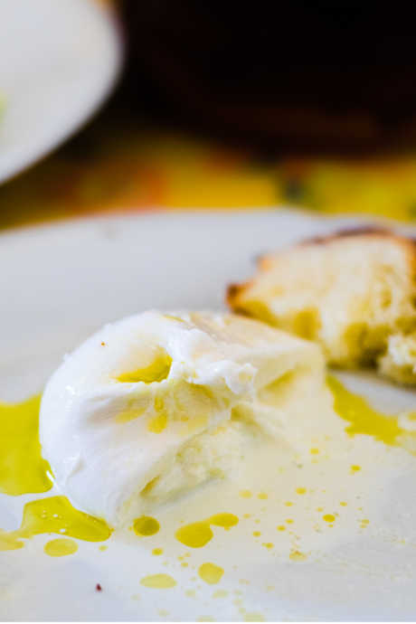 While it may look like Mozzarella, Burrata is actually a mixture of Mozzarella and cream inside a thin shell. Burrata is made from water buffalo milk.