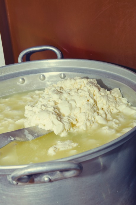 Homemade Mozzarella: The solid curds will separate from a clear, yellowish whey.