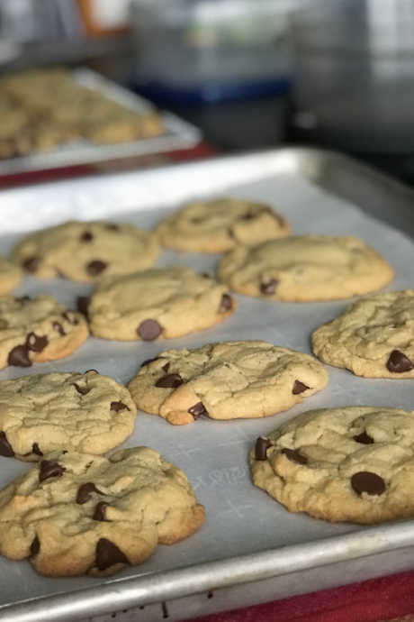 Good parchment paper can be used more than once, which is especially helpful if you are making a bunch of cookies. Parchment paper cuts down your prep time (no more greasing baking sheets) and clean up (just throw it away, or toss it in the compost).