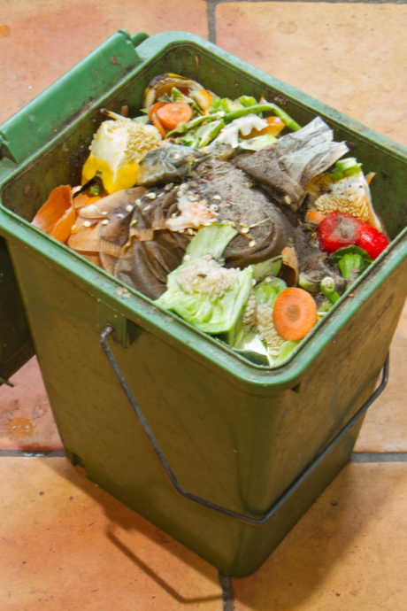 How to Start Composting: While you might think composting is limited to the outdoors, don’t discount indoor composting. Indoor temperatures and humidity don’t vary nearly as much as they do outdoors, which helps you better control the proportions of green matter, brown matter, and moisture.