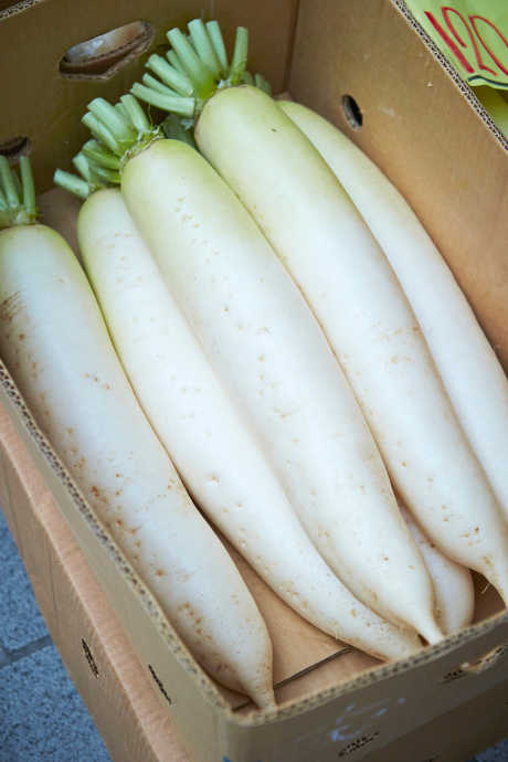Daikon radishes are large and rectangular in shape, and their flesh is white. Look for Daikon radishes with greens, as they have a milder flavor.