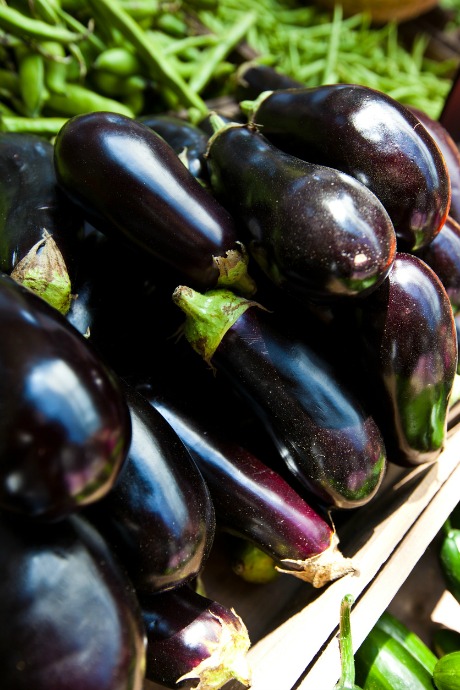 Eggplant Recipes: Look for eggplant that feels heavy for its size. Choose an eggplant that is firm and doesn't show any signs of shriveling on the skin.