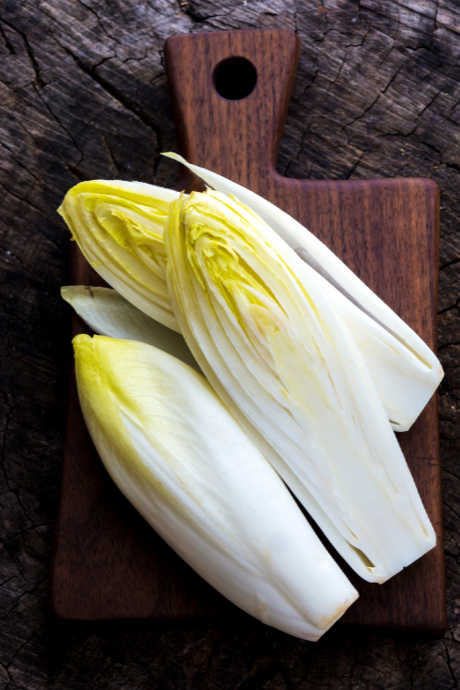 Endive Recipes: Chicory plant roots are dug out of the ground and transferred to an indoor growing area that’s kept dark and damp. Each root grows into a single Belgian endive head.