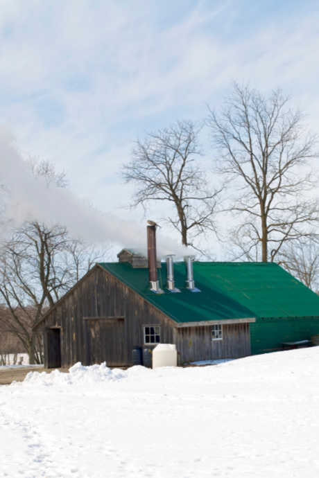 Maple Syrup: Sap is heated in evaporators, which are simply steel pans placed over a wood or oil fire. As the sap boils, water evaporates, and sugar caramelizes until it reaches a concentration of 67%, up from the original 2% sugar when the sap was collected from the taps.