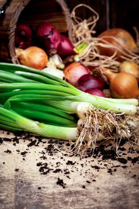 Premium Photo  Shallots onion in bamboo plate