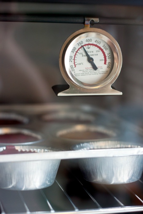 How to Avoid Baking Fails: Use an oven thermometer to help determine whether your oven is warmer or cooler than its set temperature.