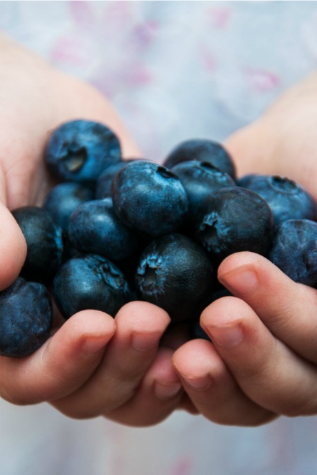 Road Trip Snacks: We’re also big fans of bringing fruit on road trips. It’s sweet and juicy, so it can help keep soda cravings at bay. Like vegetables, fruit is full of fiber and nutrients too.