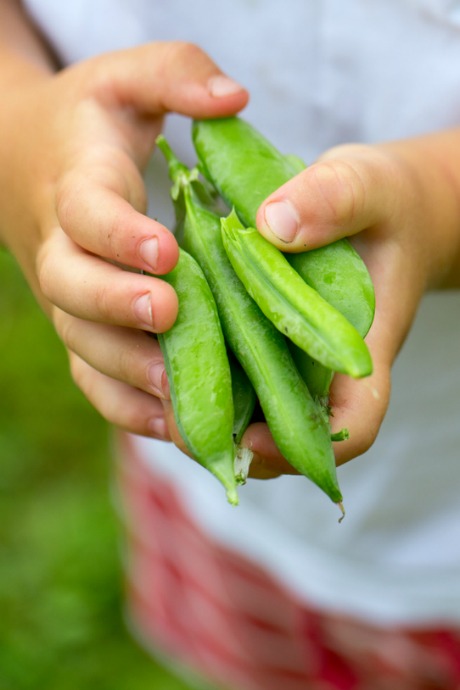 Road Trip Snacks: Our top recommendation for road trip snacks are raw vegetables. They’re packed with fiber and nutrients, and they’re low in calories.