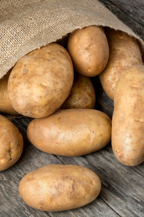 A Rainbow of Potatoes: Russet potatoes are well-suited to baking, frying, and mashing. They also have a mild flavor that goes well with a range of seasonings and toppings.