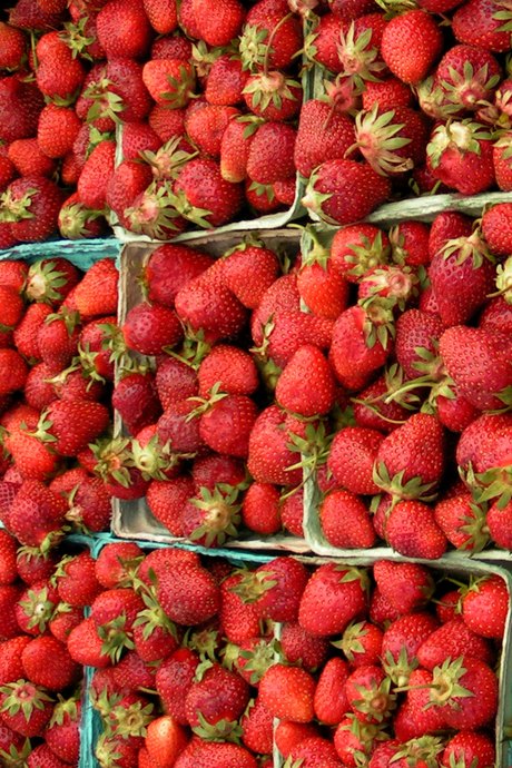 A Year of Food Festivals: California is known for its strawberry fields that stretch from San Diego to San Francisco. The California Strawberry Festival is held in Oxnard, north of Los Angeles.