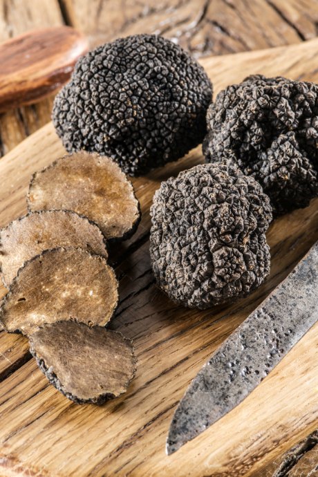 A Year of Food Festivals: The Oregon Truffle Festival includes the opportunity to hunt truffles with specially-trained truffle dogs.