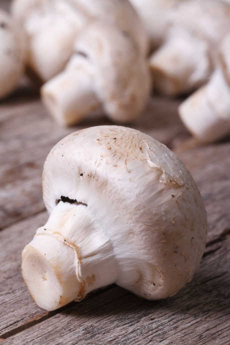 Mushroom Varieties: 90% of mushrooms eaten in the US are white button mushrooms. The mushrooms on your pizza, in your pasta sauce, and sprinkled over your salad are most likely white button mushrooms.